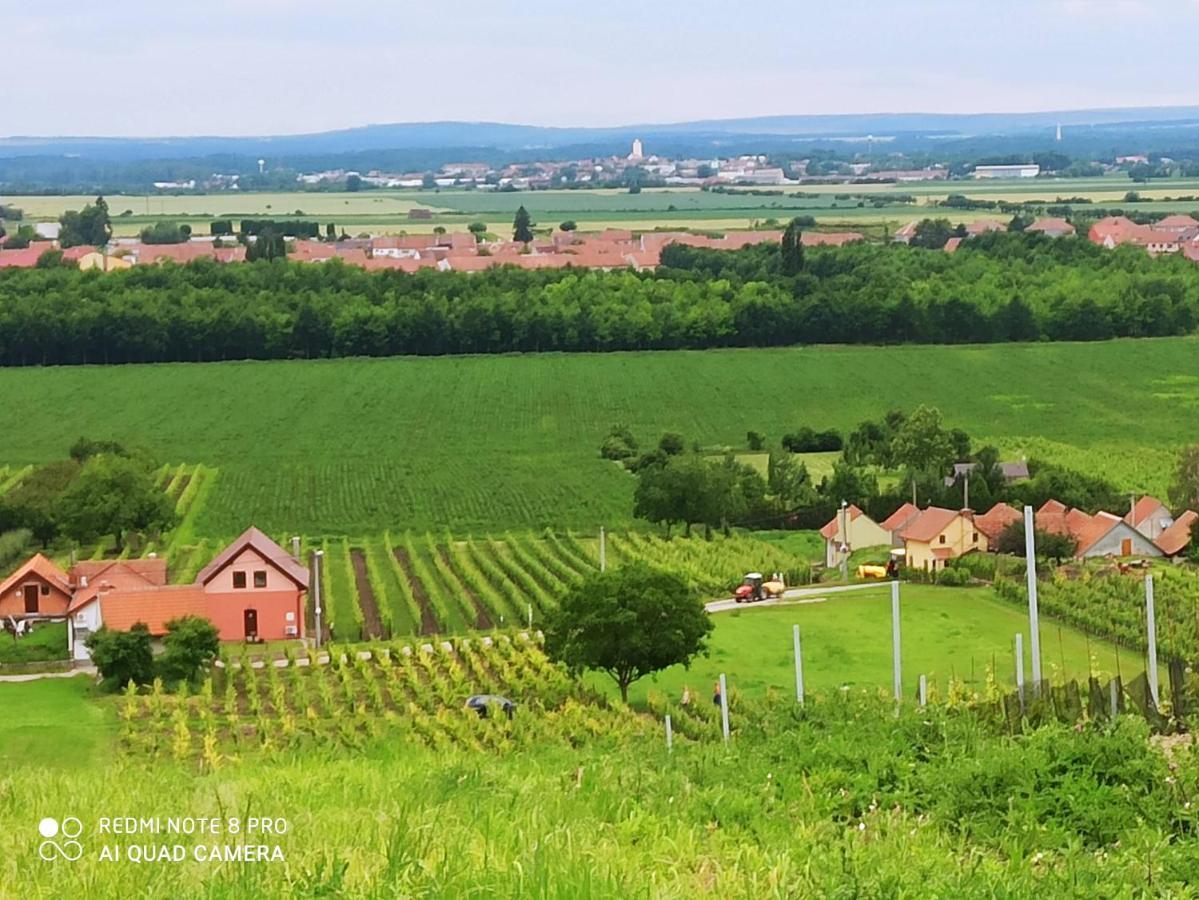 Sklipek U Svobodu Pension Velké Bílovice Buitenkant foto